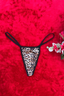Anastasia Leopar Desenli Sexi Külot 86179